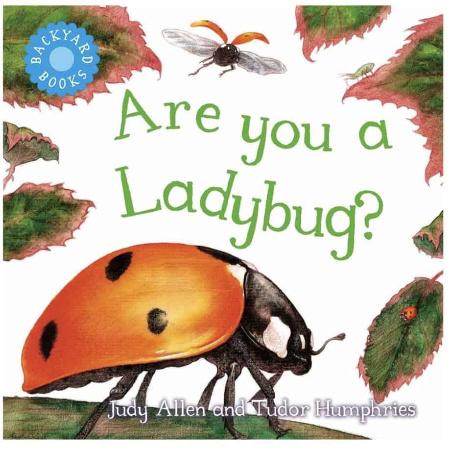 Books about ladybugs for preschoolers 